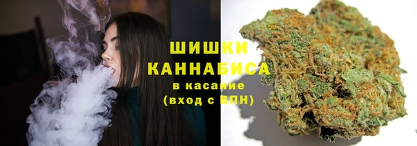 ALPHA PVP Няндома