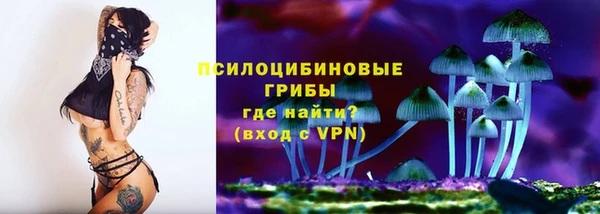 мдпв Нязепетровск