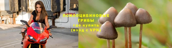 кокаин колумбия Новозыбков