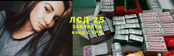 PSILOCYBIN Новокубанск