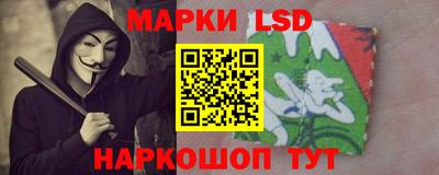 стаф Гатчина