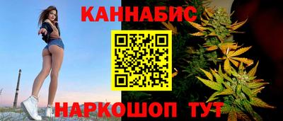 стаф Гатчина