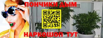 стаф Гатчина