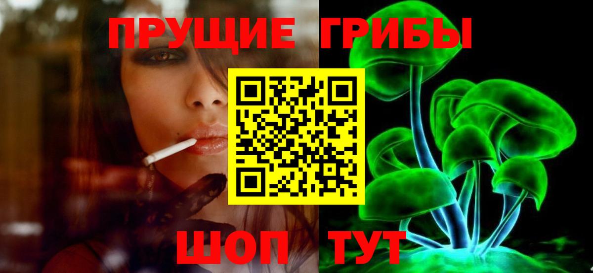 Истра  Галлюциногенные грибы мицелий  Вход с VPN 