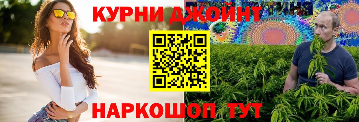 МАРИХУАНА планчик  Каннабис сатива  МАРИХУАНА LSD WEED  Истра  МАРИХУАНА план  Вход с VPN 